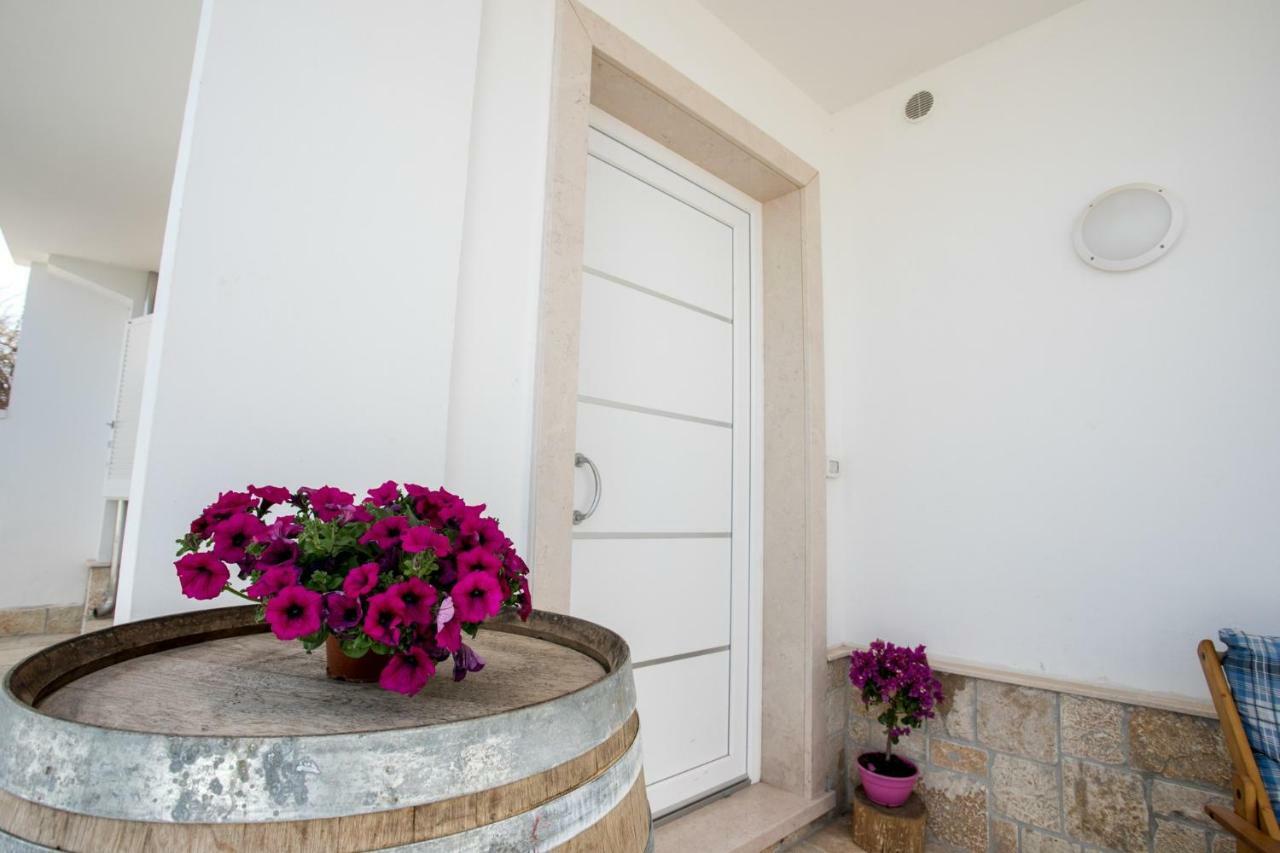 Villa Fenix Torre Lapillo Bagian luar foto